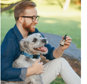 applying cbd in the mouth of dog